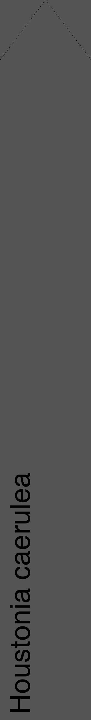 Étiquette de : Houstonia caerulea - format c - style noire30_simple_simplehel avec comestibilité - position verticale