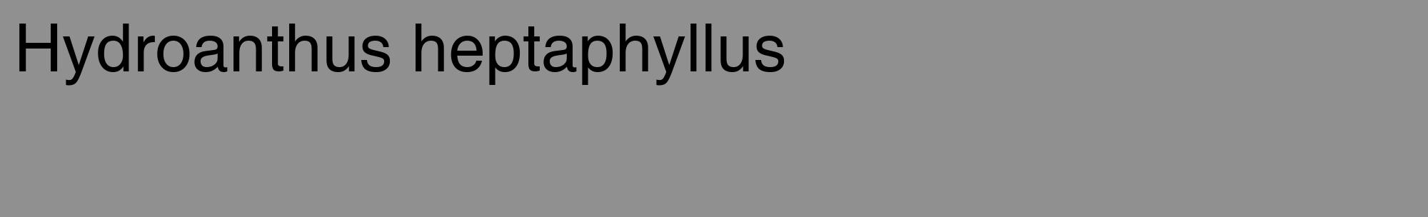 Étiquette de : Hydroanthus heptaphyllus - format c - style noire4_basique_basiquehel avec comestibilité