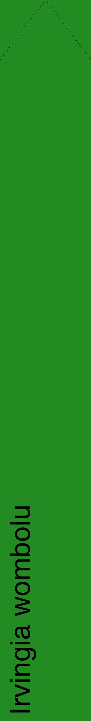 Étiquette de : Irvingia wombolu - format c - style noire10_simplehel avec comestibilité