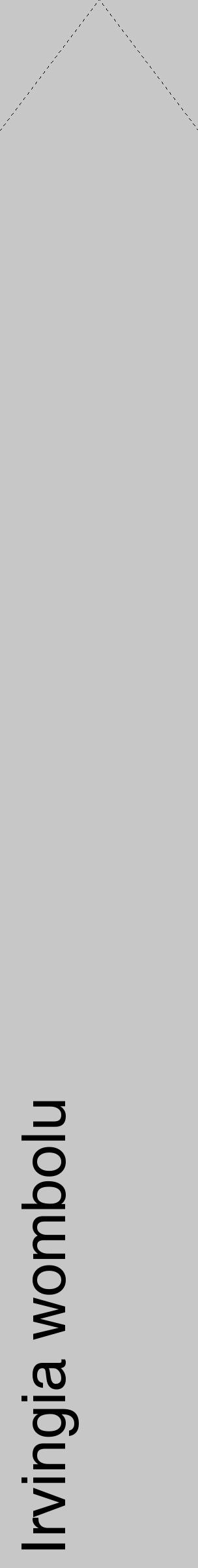 Étiquette de : Irvingia wombolu - format c - style noire15_simple_simplehel avec comestibilité - position verticale