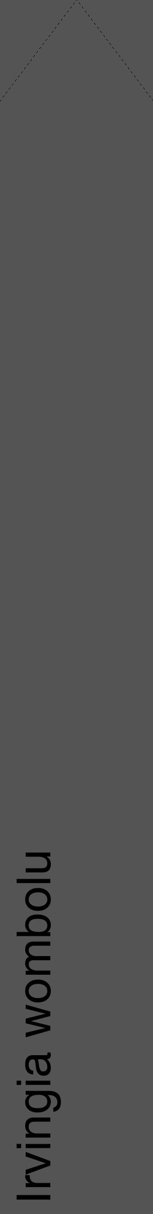 Étiquette de : Irvingia wombolu - format c - style noire30_simple_simplehel avec comestibilité - position verticale