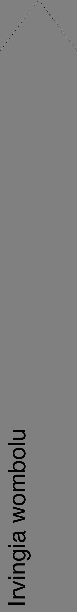 Étiquette de : Irvingia wombolu - format c - style noire57_simplehel avec comestibilité
