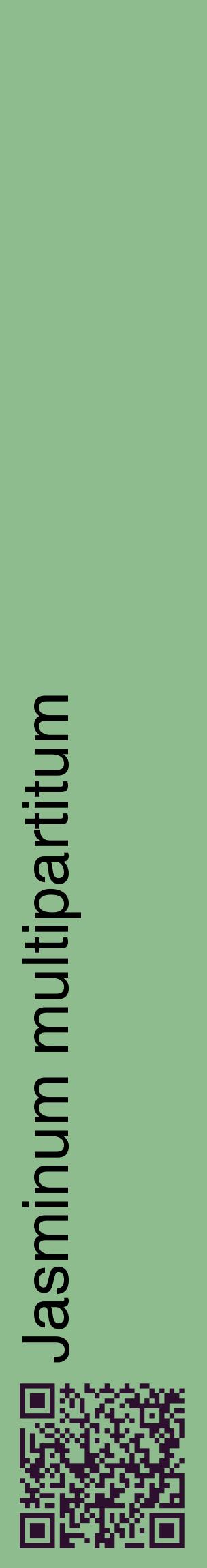 Étiquette de : Jasminum multipartitum - format c - style noire13_basiquehel avec qrcode et comestibilité