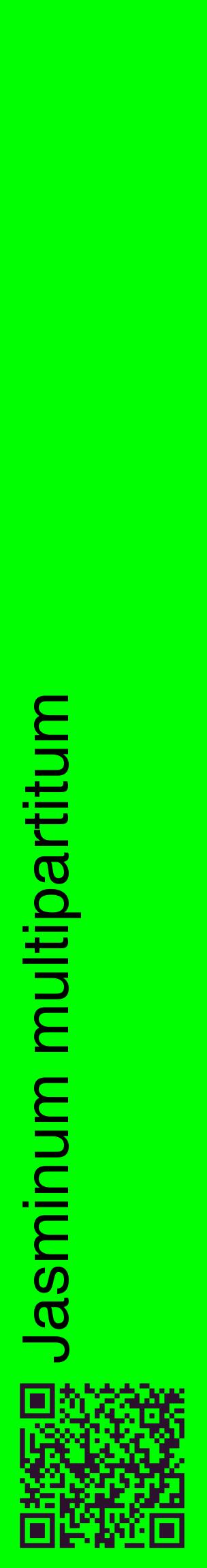 Étiquette de : Jasminum multipartitum - format c - style noire16_basiquehel avec qrcode et comestibilité