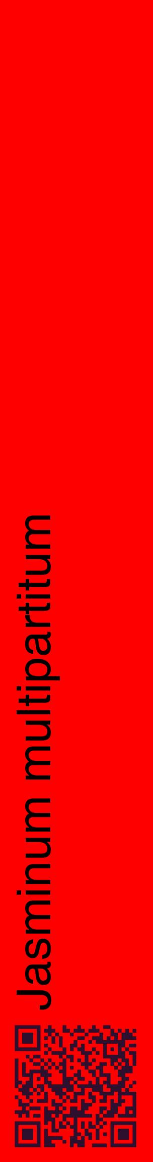 Étiquette de : Jasminum multipartitum - format c - style noire27_basiquehel avec qrcode et comestibilité