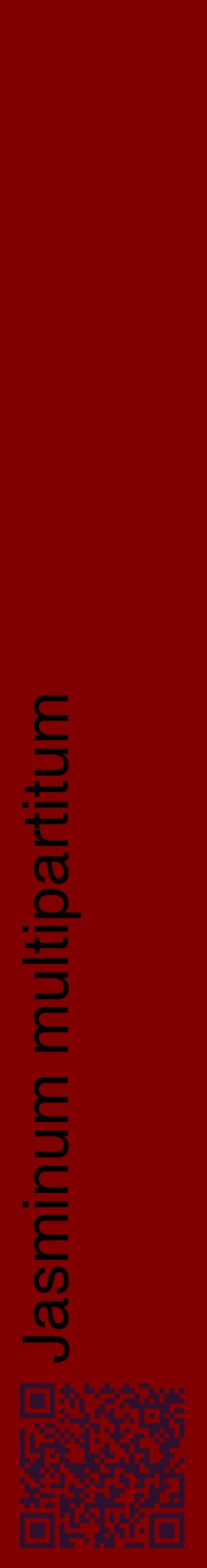 Étiquette de : Jasminum multipartitum - format c - style noire29_basiquehel avec qrcode et comestibilité
