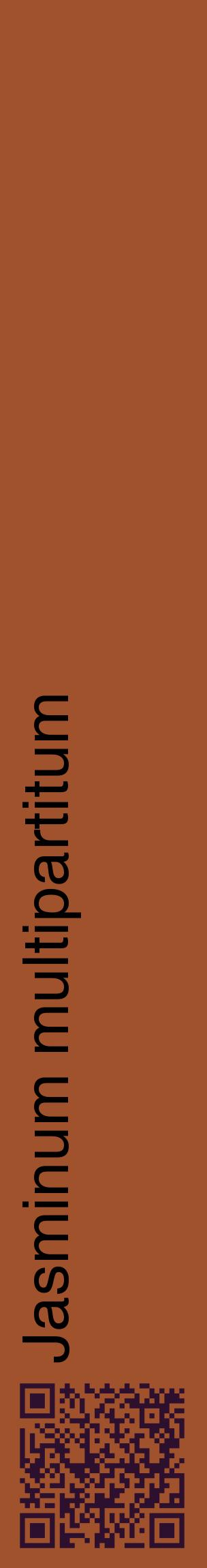 Étiquette de : Jasminum multipartitum - format c - style noire32_basiquehel avec qrcode et comestibilité