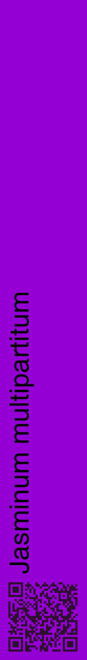 Étiquette de : Jasminum multipartitum - format c - style noire48_basiquehel avec qrcode et comestibilité