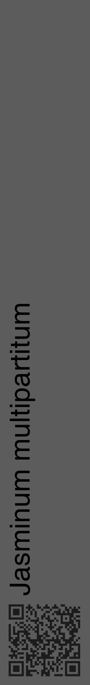 Étiquette de : Jasminum multipartitum - format c - style noire49_basique_basiquehel avec qrcode et comestibilité - position verticale