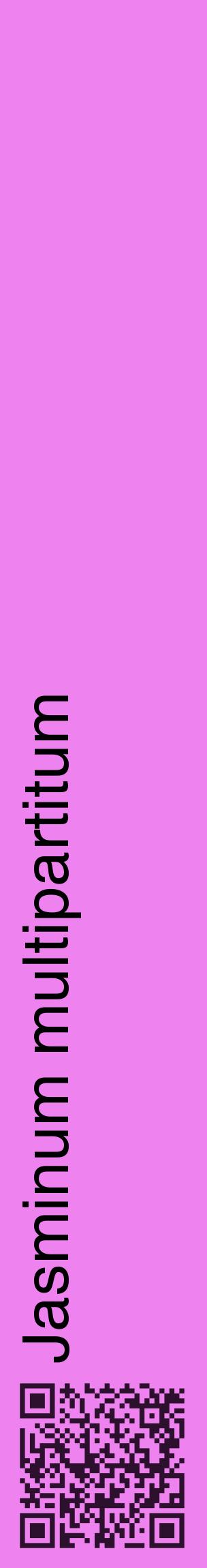 Étiquette de : Jasminum multipartitum - format c - style noire53_basiquehel avec qrcode et comestibilité