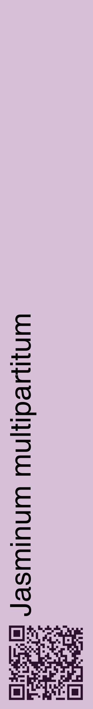 Étiquette de : Jasminum multipartitum - format c - style noire54_basiquehel avec qrcode et comestibilité