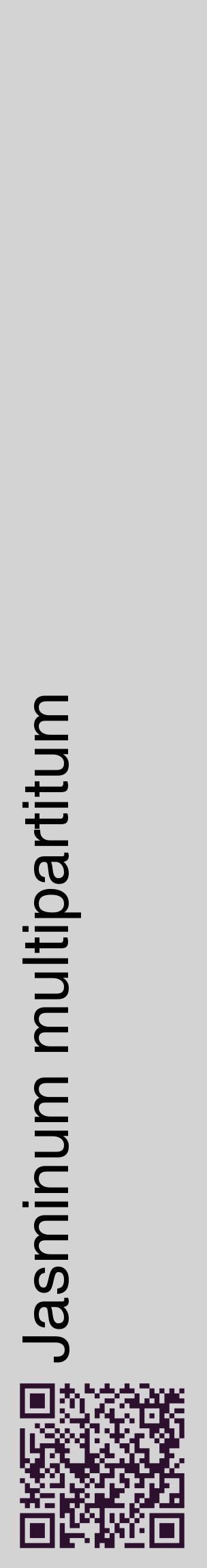Étiquette de : Jasminum multipartitum - format c - style noire56_basiquehel avec qrcode et comestibilité