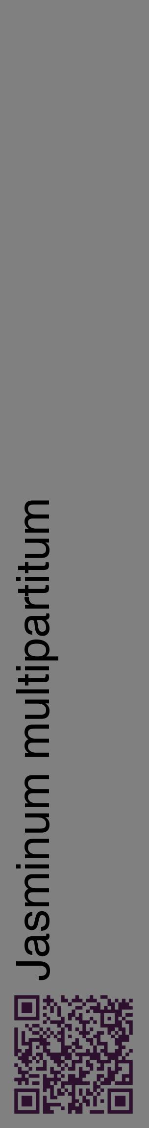Étiquette de : Jasminum multipartitum - format c - style noire57_basiquehel avec qrcode et comestibilité