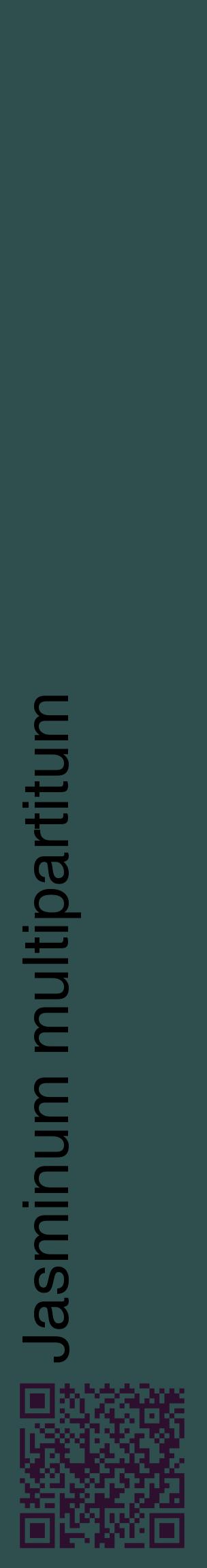Étiquette de : Jasminum multipartitum - format c - style noire58_basiquehel avec qrcode et comestibilité