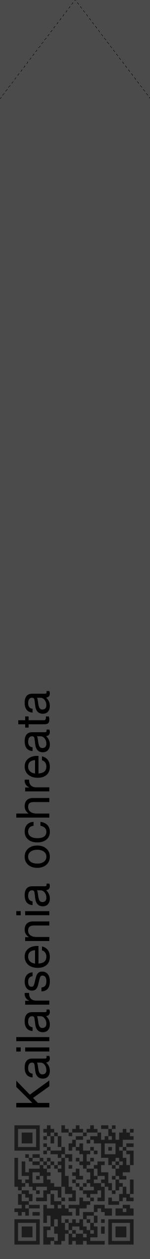 Étiquette de : Kailarsenia ochreata - format c - style noire9_simple_simplehel avec qrcode et comestibilité - position verticale
