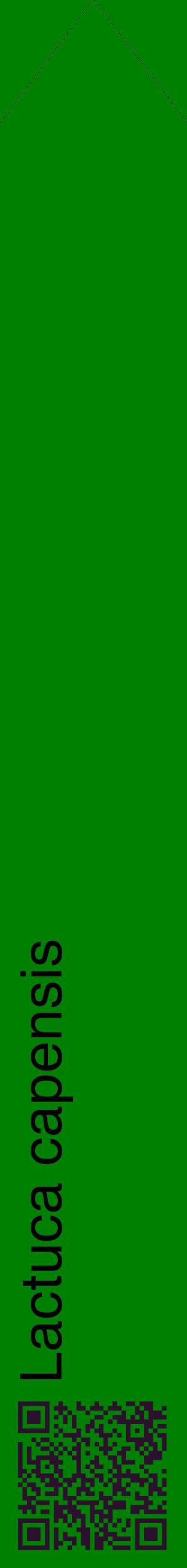 Étiquette de : Lactuca capensis - format c - style noire9_simplehel avec qrcode et comestibilité