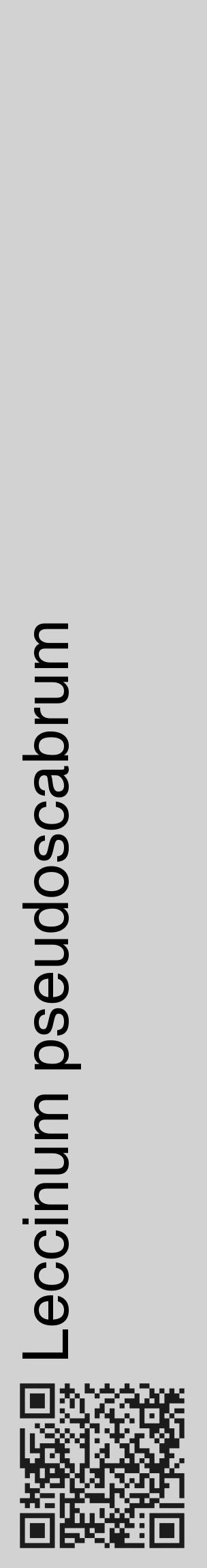 Étiquette de : Leccinum pseudoscabrum - format c - style noire14_basique_basiquehel avec qrcode et comestibilité - position verticale