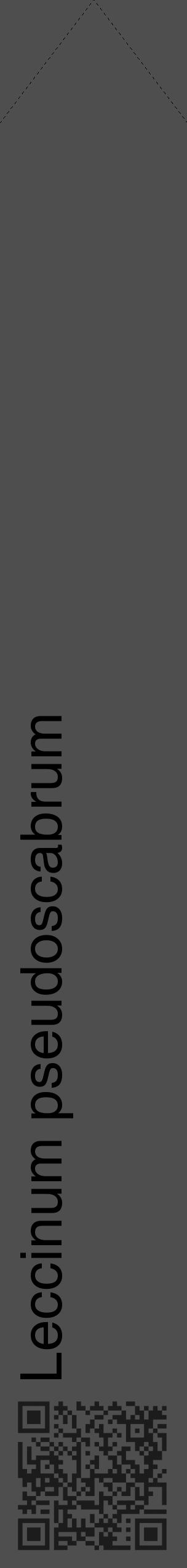Étiquette de : Leccinum pseudoscabrum - format c - style noire33_simple_simplehel avec qrcode et comestibilité - position verticale
