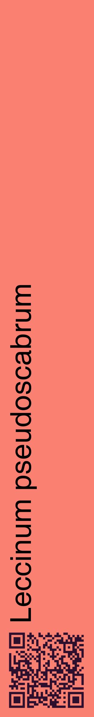 Étiquette de : Leccinum pseudoscabrum - format c - style noire38_basiquehel avec qrcode et comestibilité