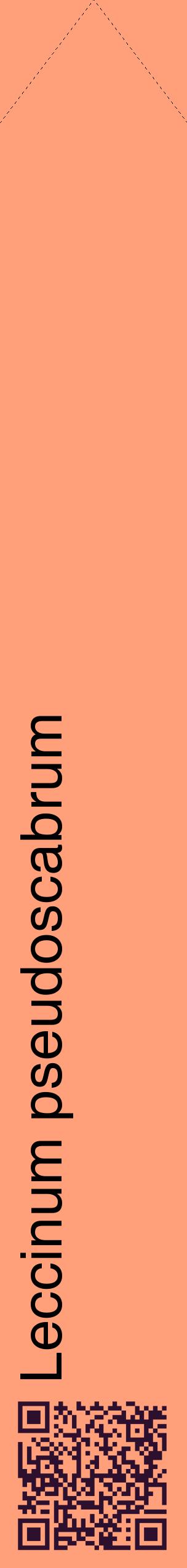Étiquette de : Leccinum pseudoscabrum - format c - style noire39_simplehel avec qrcode et comestibilité