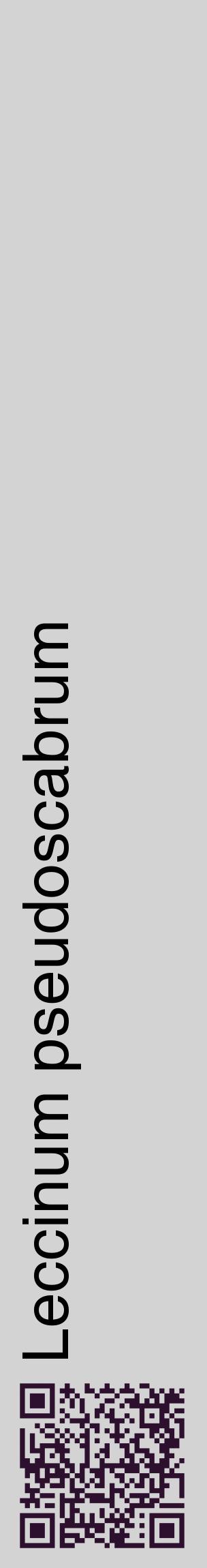 Étiquette de : Leccinum pseudoscabrum - format c - style noire56_basiquehel avec qrcode et comestibilité