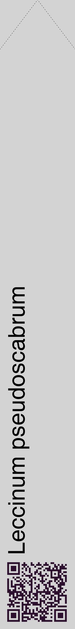 Étiquette de : Leccinum pseudoscabrum - format c - style noire56_simplehel avec qrcode et comestibilité