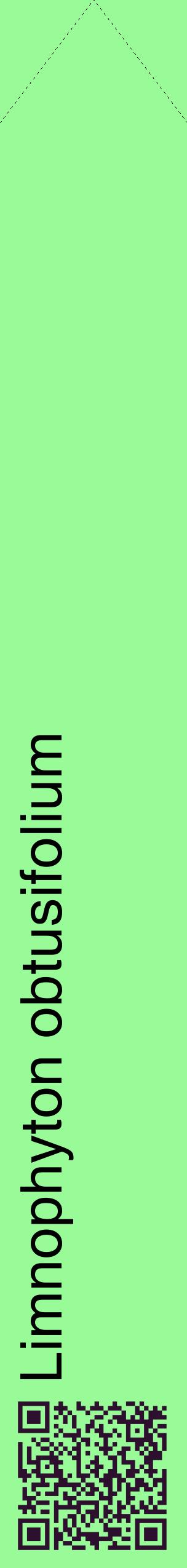 Étiquette de : Limnophyton obtusifolium - format c - style noire14_simplehel avec qrcode et comestibilité