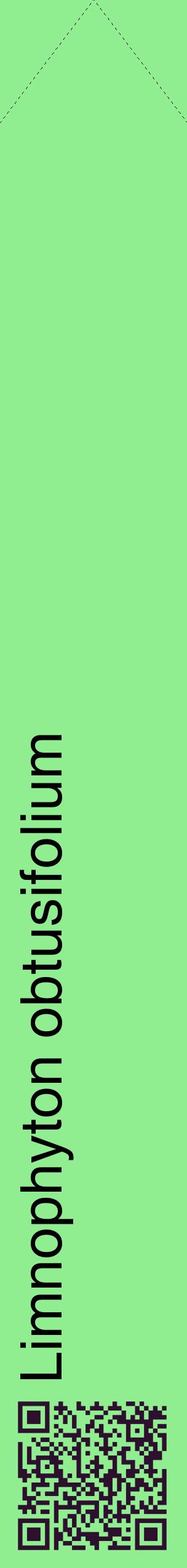 Étiquette de : Limnophyton obtusifolium - format c - style noire15_simplehel avec qrcode et comestibilité