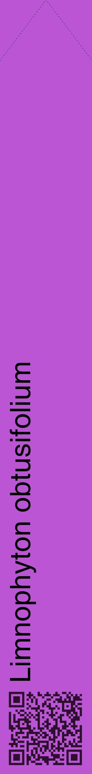 Étiquette de : Limnophyton obtusifolium - format c - style noire50_simplehel avec qrcode et comestibilité