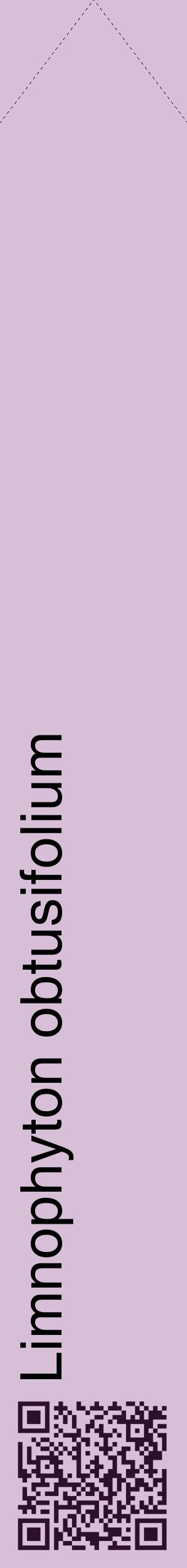 Étiquette de : Limnophyton obtusifolium - format c - style noire54_simplehel avec qrcode et comestibilité