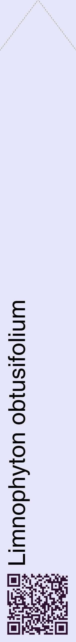 Étiquette de : Limnophyton obtusifolium - format c - style noire55_simplehel avec qrcode et comestibilité