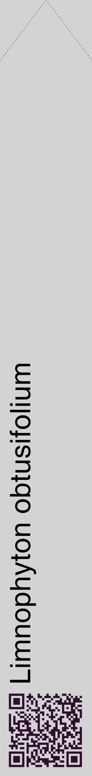 Étiquette de : Limnophyton obtusifolium - format c - style noire56_simplehel avec qrcode et comestibilité