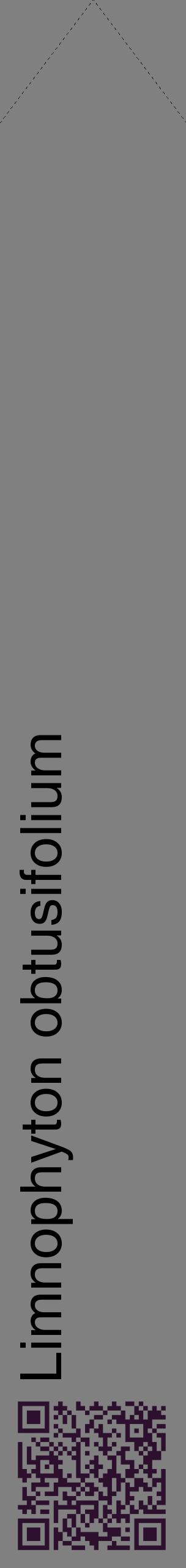 Étiquette de : Limnophyton obtusifolium - format c - style noire57_simplehel avec qrcode et comestibilité