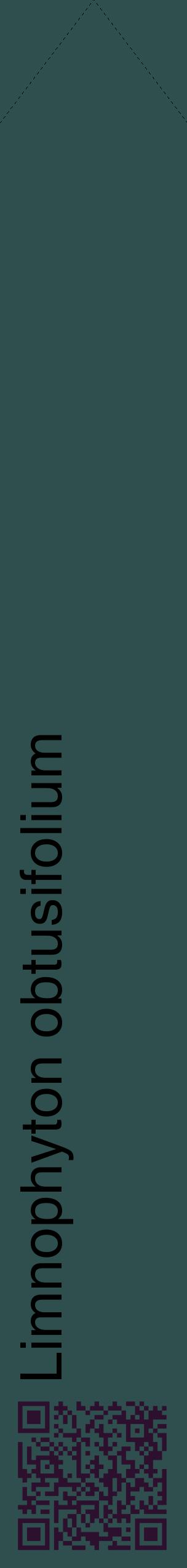 Étiquette de : Limnophyton obtusifolium - format c - style noire58_simplehel avec qrcode et comestibilité