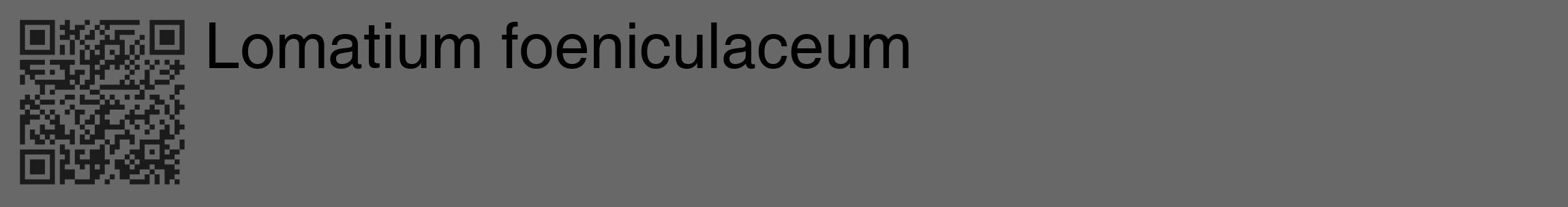 Étiquette de : Lomatium foeniculaceum - format c - style noire6_basique_basiquehel avec qrcode et comestibilité