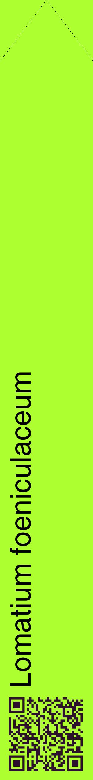 Étiquette de : Lomatium foeniculaceum - format c - style noire17_simplehel avec qrcode et comestibilité