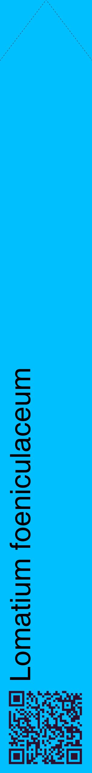 Étiquette de : Lomatium foeniculaceum - format c - style noire2_simplehel avec qrcode et comestibilité