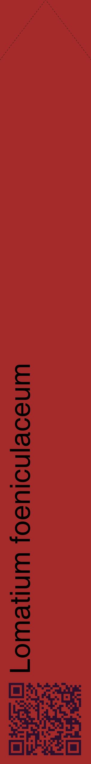Étiquette de : Lomatium foeniculaceum - format c - style noire33_simplehel avec qrcode et comestibilité