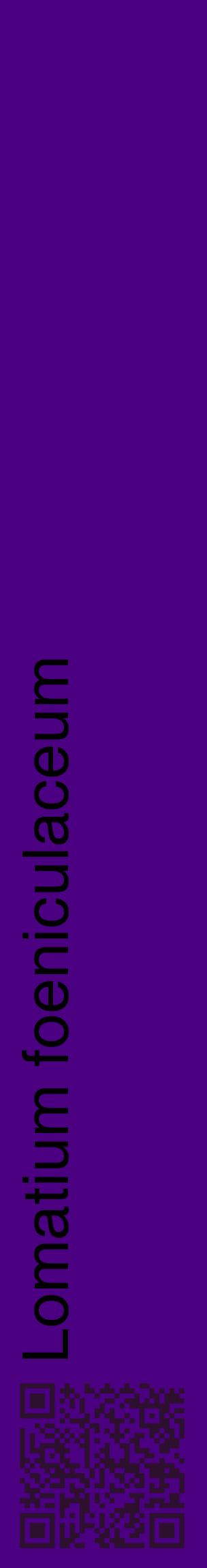 Étiquette de : Lomatium foeniculaceum - format c - style noire47_basiquehel avec qrcode et comestibilité