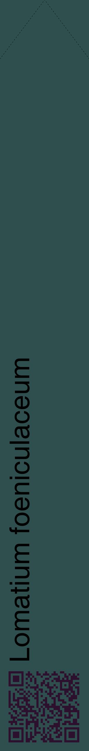 Étiquette de : Lomatium foeniculaceum - format c - style noire58_simplehel avec qrcode et comestibilité