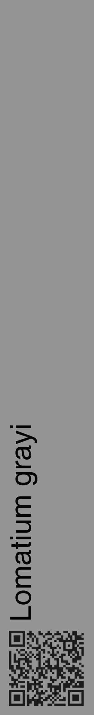 Étiquette de : Lomatium grayi - format c - style noire16_basique_basiquehel avec qrcode et comestibilité - position verticale