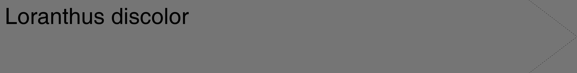Étiquette de : Loranthus discolor - format c - style noire5_simple_simplehel avec comestibilité