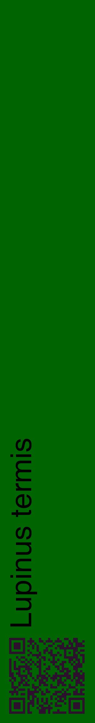 Étiquette de : Lupinus termis - format c - style noire8_basiquehel avec qrcode et comestibilité