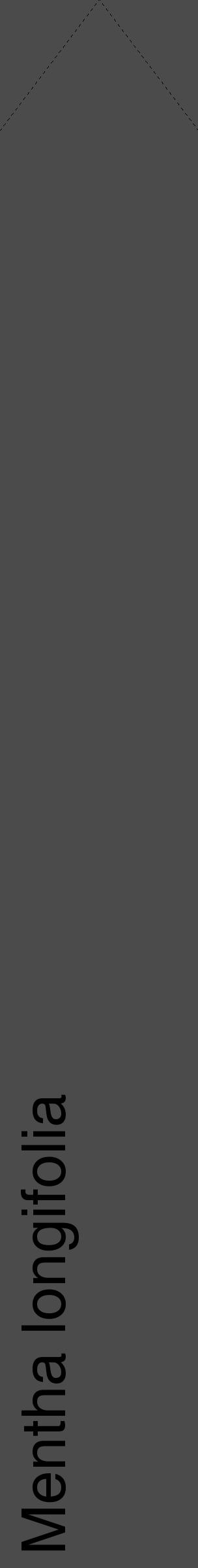 Étiquette de : Mentha longifolia - format c - style noire9_simple_simplehel avec comestibilité - position verticale