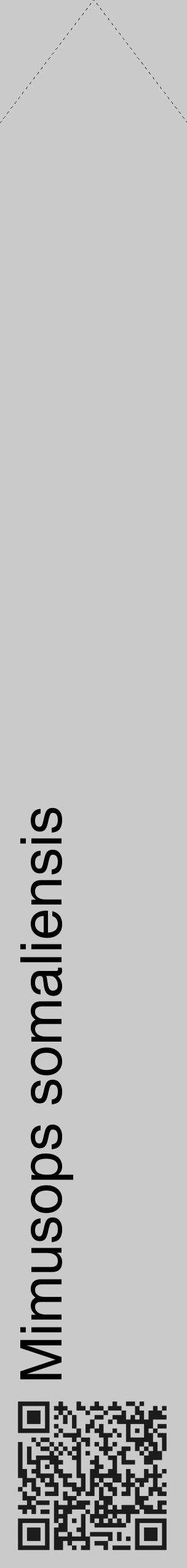 Étiquette de : Mimusops somaliensis - format c - style noire21_simple_simplehel avec qrcode et comestibilité - position verticale