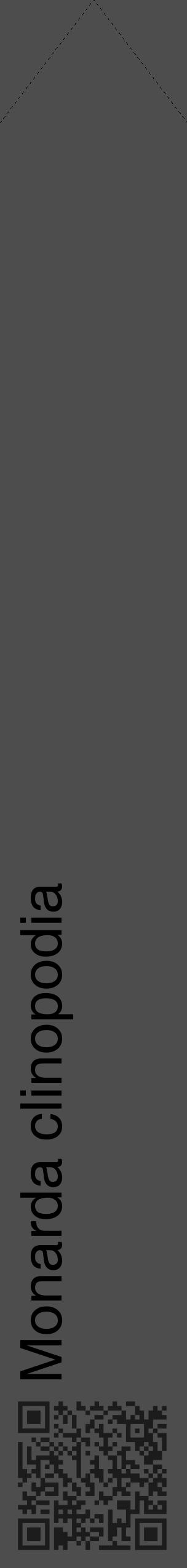 Étiquette de : Monarda clinopodia - format c - style noire28_simple_simplehel avec qrcode et comestibilité - position verticale