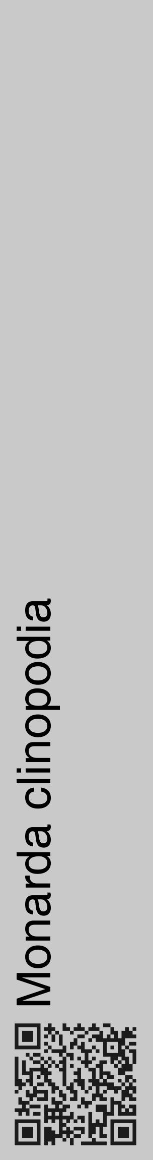Étiquette de : Monarda clinopodia - format c - style noire54_basique_basiquehel avec qrcode et comestibilité - position verticale