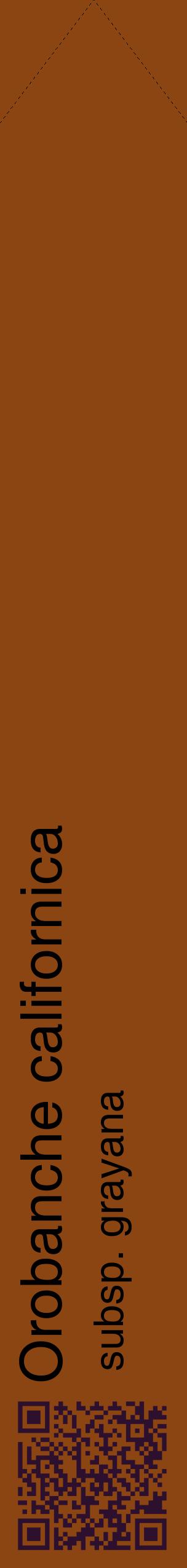 Étiquette de : Orobanche californica subsp. grayana - format c - style noire30_simplehel avec qrcode et comestibilité