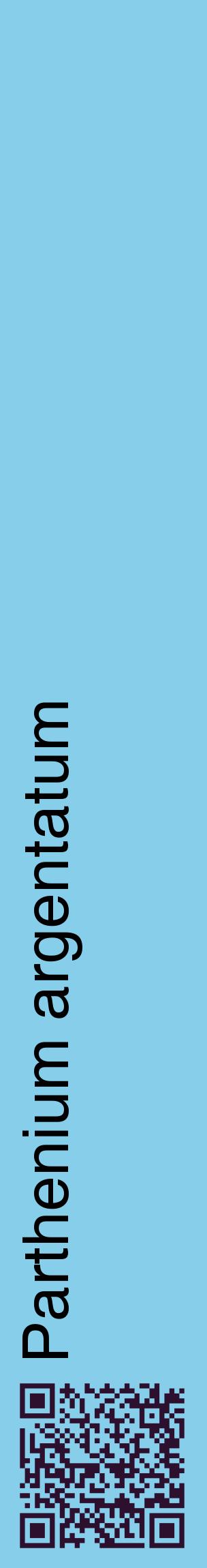 Étiquette de : Parthenium argentatum - format c - style noire1_basiquehel avec qrcode et comestibilité