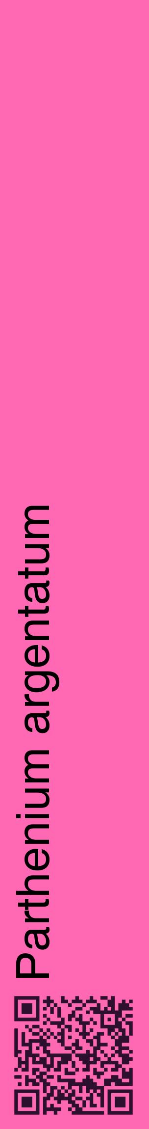 Étiquette de : Parthenium argentatum - format c - style noire42_basiquehel avec qrcode et comestibilité